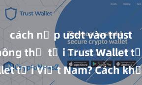 cách nạp usdt vào trust wallet Không thể tải Trust Wallet tại Việt Nam? Cách khắc phục